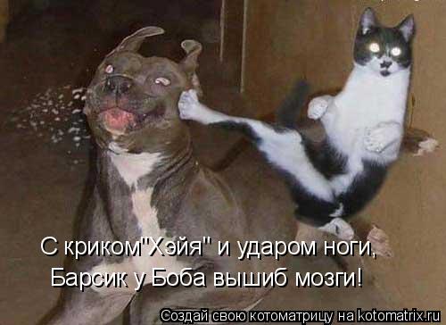 С криком"Хэйя" и ударом ноги, Барсик у Боба вышиб мозги!... Котоматрица: С криком"Хэйя" и ударом ноги, Барсик у Боба вышиб мозги!