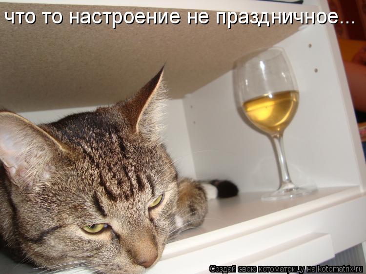 что то настроение не праздничное...... Котоматрица: что то настроение не праздничное...