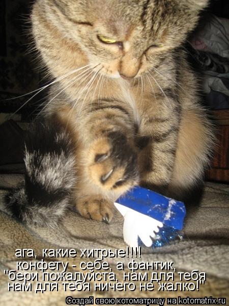 ага, какие хитрые!!!! конфету - себе, а фантик, "бери пожалуйста, нам для тебя нам для тебя ничего ... Котоматрица: ага, какие хитрые!!!! конфету - себе, а фантик, "бери пожалуйста, нам для тебя нам для тебя ничего не жалко!"