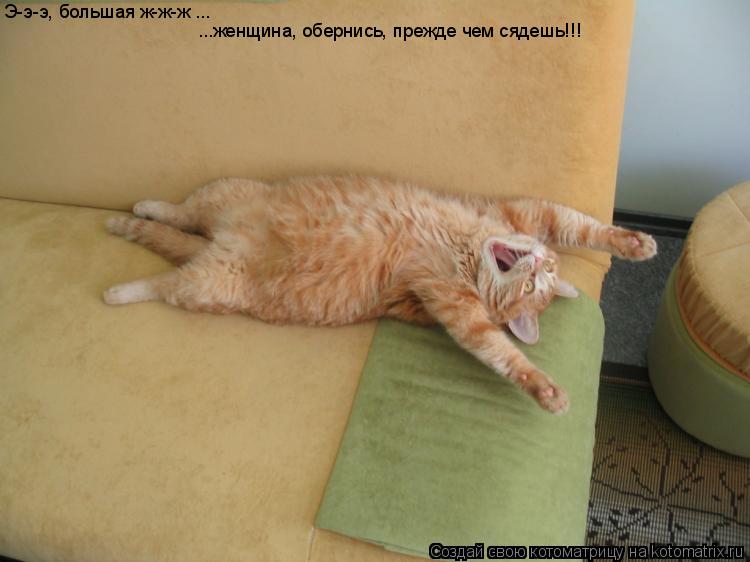 Э-э-э, большая ж-ж-ж ... ...женщина, обернись, прежде чем сядешь!!!... Котоматрица: Э-э-э, большая ж-ж-ж ... ...женщина, обернись, прежде чем сядешь!!!