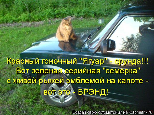 Красный гоночный "Ягуар" - ерунда!!! Вот зеленая серийная "семерка" с живой рыжей эмблемой на капоте ... Котоматрица: Красный гоночный "Ягуар" - ерунда!!! Вот зеленая серийная "семерка" с живой рыжей эмблемой на капоте - вот это - БРЭНД!