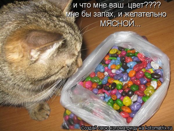 и что мне ваш цвет???? мне бы запах, и желательно МЯСНОЙ...... Котоматрица: и что мне ваш цвет???? мне бы запах, и желательно МЯСНОЙ...