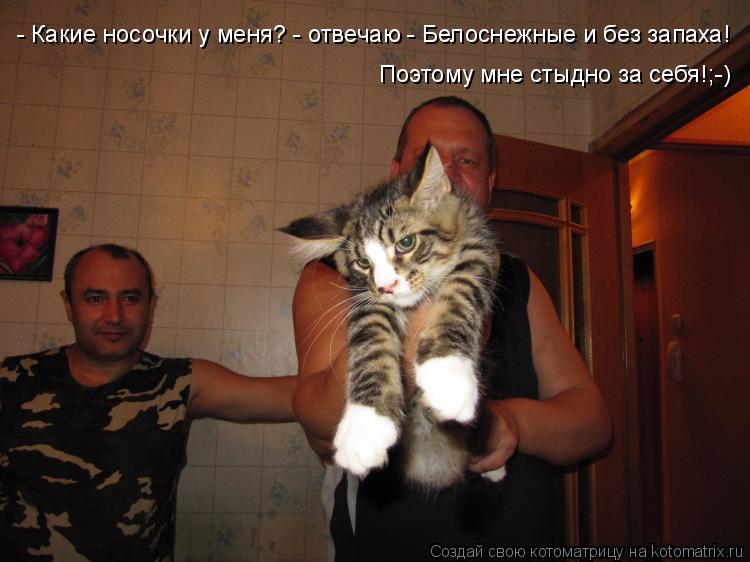 - Какие носочки у меня? - отвечаю - Белоснежные и без запаха! Поэтому мне стыдно за себя!;-)... Котоматрица: - Какие носочки у меня? - отвечаю - Белоснежные и без запаха! Поэтому мне стыдно за себя!;-)