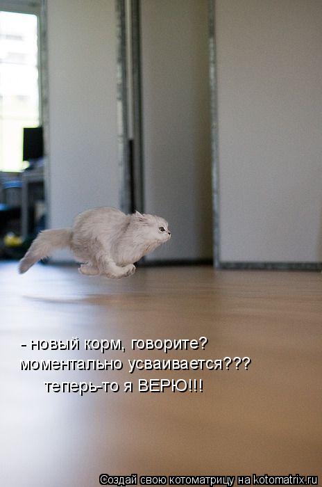 - новый корм, говорите? моментально усваивается??? теперь-то я ВЕРЮ!!!... Котоматрица: - новый корм, говорите? моментально усваивается??? теперь-то я ВЕРЮ!!!