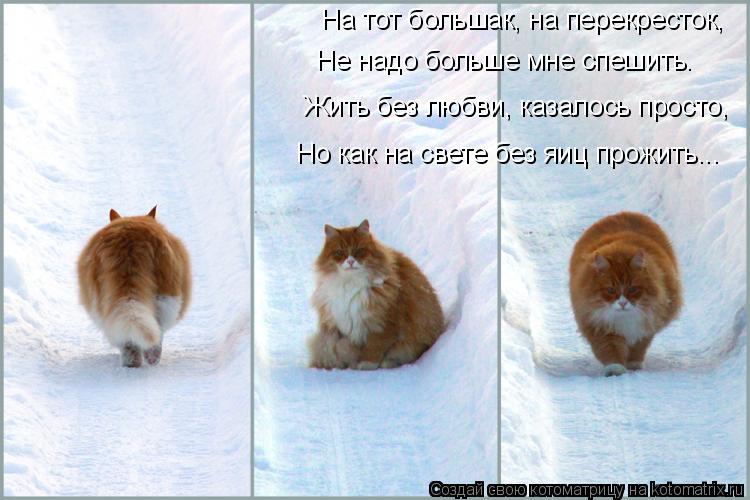 Не надо больше мне спешить. Жить без любви, казалось просто, Но как на свете без яиц прожить... На то... Котоматрица: Не надо больше мне спешить. Жить без любви, казалось просто, Но как на свете без яиц прожить... На тот большак, на перекресток,