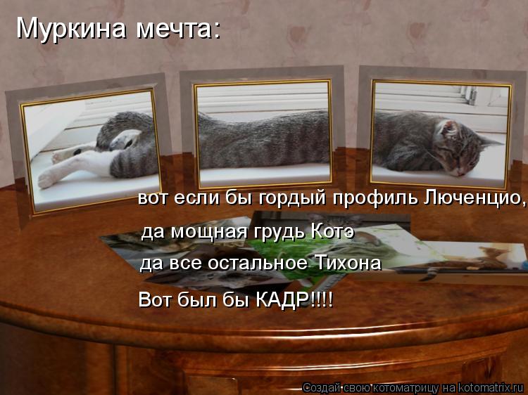 Муркина мечта: да мощная грудь Котэ да все остальное Тихона вот если бы гордый профиль Люченцио, Вот... Котоматрица: Муркина мечта: да мощная грудь Котэ да все остальное Тихона вот если бы гордый профиль Люченцио, Вот был бы КАДР!!!!
