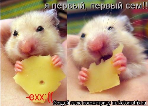 -ехх:(( я первый, первый сем!!... Котоматрица: -ехх:(( я первый, первый сем!!