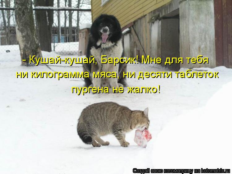 http://kotomatrix.ru/images/lolz/2010/10/03/695390.jpg