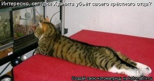 Интересно, сегодня Хуанита убъёт своего крёстного отца?... Котоматрица: Интересно, сегодня Хуанита убъёт своего крёстного отца?
