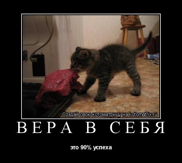 Котоматрица: вера в себя  это 90% успеха