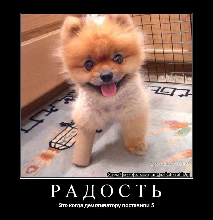Радость Это когда демотиватору поставили 5... Котоматрица: Радость Это когда демотиватору поставили 5