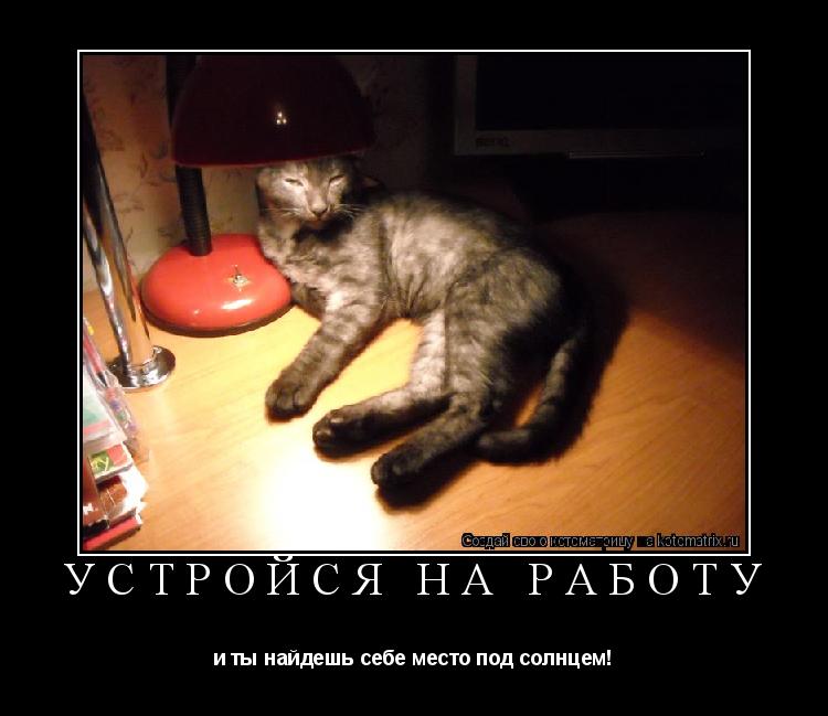Котоматрица: УСТРОЙСЯ НА РАБОТУ и ты найдешь себе место под солнцем!