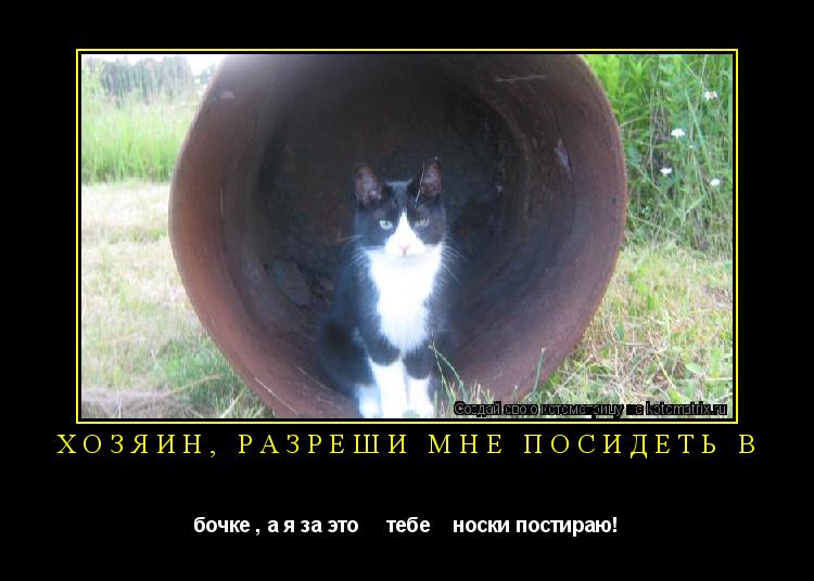 Хозяин, разреши мне посидеть в бочке , а я за это тебе носки постираю!... Котоматрица: Хозяин, разреши мне посидеть в бочке , а я за это тебе носки постираю!
