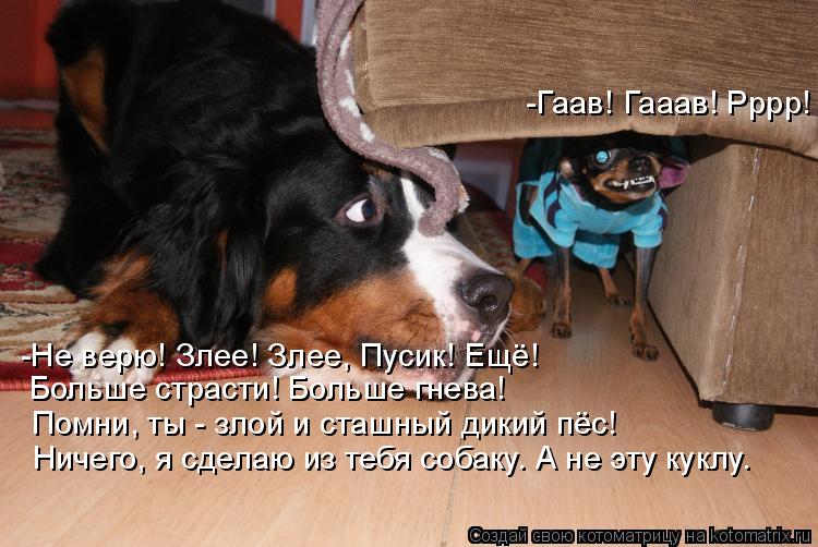-Гаав! Гааав! Рррр! Помни, ты - злой и сташный дикий пёс! Ничего, я сделаю из тебя собаку. А не эту к... Котоматрица: -Гаав! Гааав! Рррр! Помни, ты - злой и сташный дикий пёс! Ничего, я сделаю из тебя собаку. А не эту куклу. -Не верю! Злее! Злее, Пусик! Ещё! Больше с
