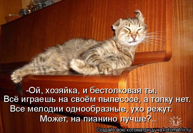 -Ой, хозяйка, и бестолковая ты. Всё играешь на своём пылесосе, а толку нет. Все мелодии однообразные,... Котоматрица: -Ой, хозяйка, и бестолковая ты. Всё играешь на своём пылесосе, а толку нет. Все мелодии однообразные, ухо режут. Может, на пианино лучше?..