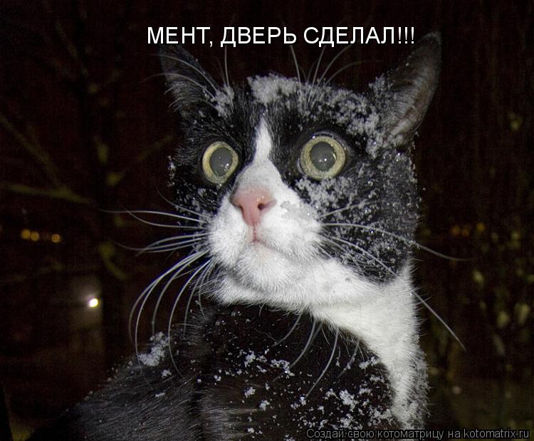МЕНТ, ДВЕРЬ СДЕЛАЛ!!!... Котоматрица: МЕНТ, ДВЕРЬ СДЕЛАЛ!!!