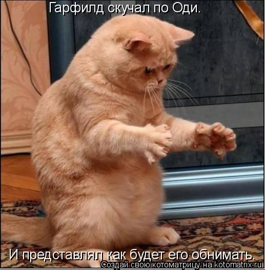 Гарфилд скучал по Оди. И представлял как будет его обнимать.... Котоматрица: Гарфилд скучал по Оди. И представлял как будет его обнимать.
