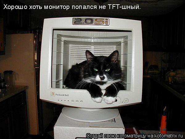 Хорошо хоть монитор попался не TFT-шный.... Котоматрица: Хорошо хоть монитор попался не TFT-шный.