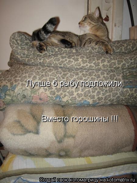 Лучше б рыбу подложили, Вместо горошины !!!... Котоматрица: Лучше б рыбу подложили, Вместо горошины !!!