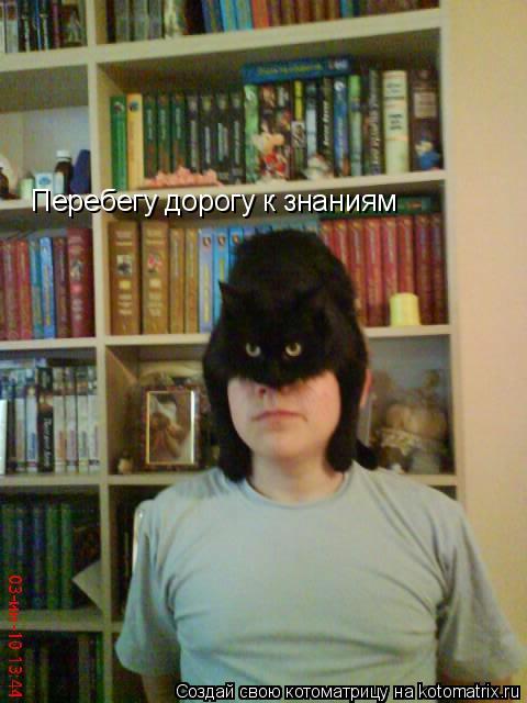 Перебегу дорогу к знаниям... Котоматрица: Перебегу дорогу к знаниям