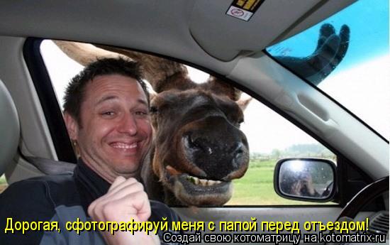 Дорогая, сфотографируй меня с папой перед отъездом!... Котоматрица: Дорогая, сфотографируй меня с папой перед отъездом!