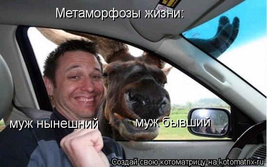 Метаморфозы жизни: муж нынешний муж бывший... Котоматрица: Метаморфозы жизни: муж нынешний муж бывший