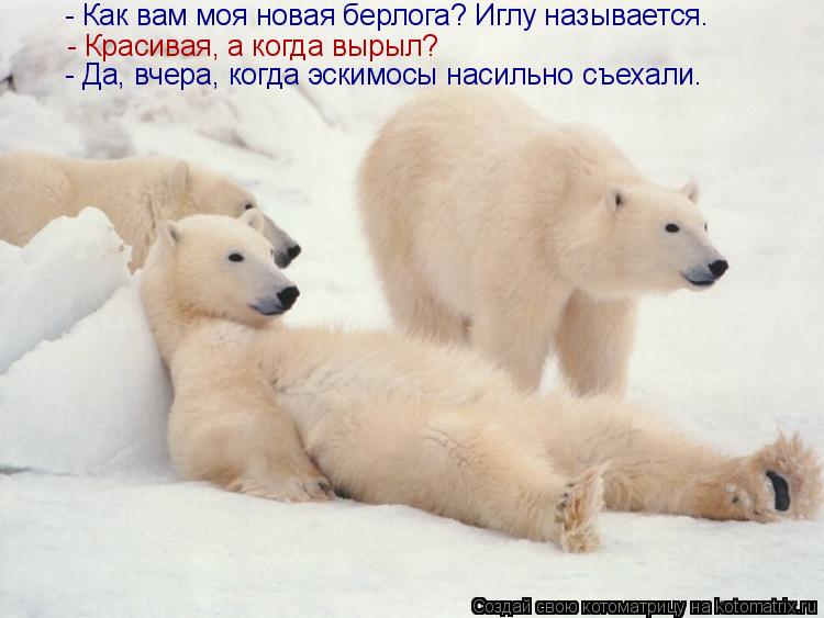 - Красивая, а когда вырыл? - Да, вчера, когда эскимосы насильно съехали. - Как вам моя новая берлога... Котоматрица: - Красивая, а когда вырыл? - Да, вчера, когда эскимосы насильно съехали. - Как вам моя новая берлога? Иглу называется.