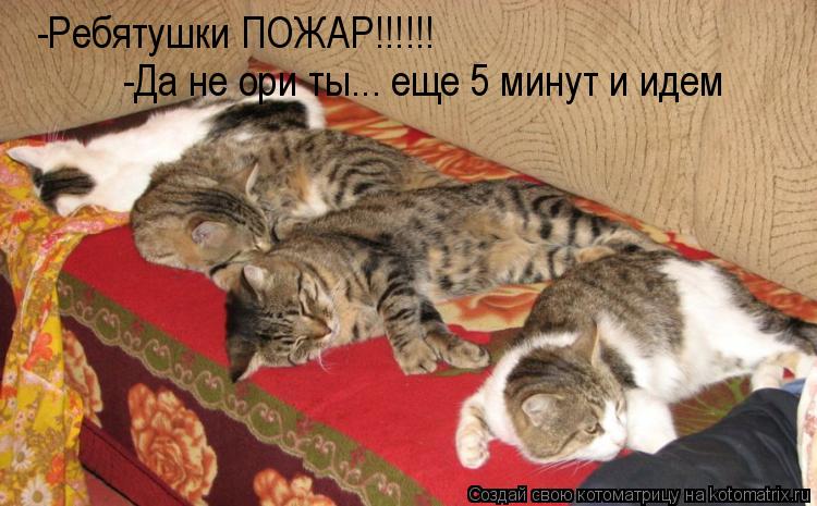 Котоматрица: -Ребятушки ПОЖАР!!!!!! -Да не ори ты... еще 5 минут и идем