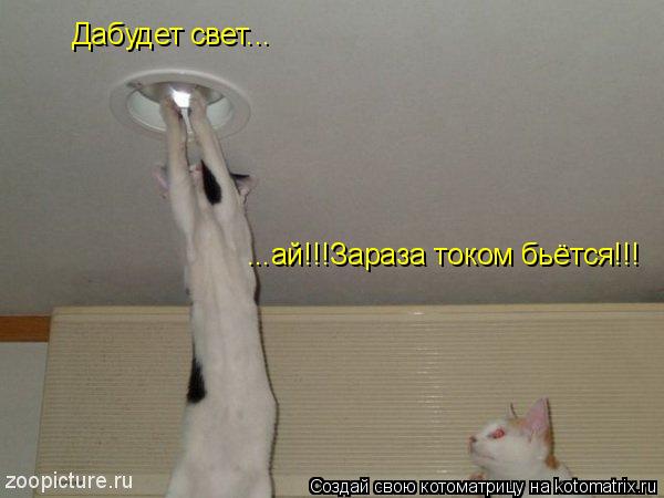 Дабудет свет... ...ай!!!Зараза током бьётся!!!... Котоматрица: Дабудет свет... ...ай!!!Зараза током бьётся!!!