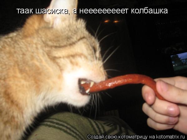 таак шасиска, а нееееееееет колбашка... Котоматрица: таак шасиска, а нееееееееет колбашка