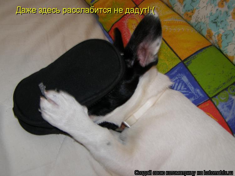 Котоматрица: Даже здесь расслабится не дадут!:(