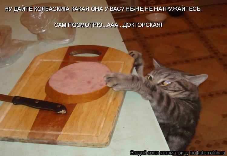 Котоматрица: НУ ДАЙТЕ КОЛБАСКИ!А КАКАЯ ОНА У ВАС? НЕ-НЕ,НЕ НАТРУЖАЙТЕСЬ, САМ ПОСМОТРЮ...ААА...ДОКТОРСКАЯ!