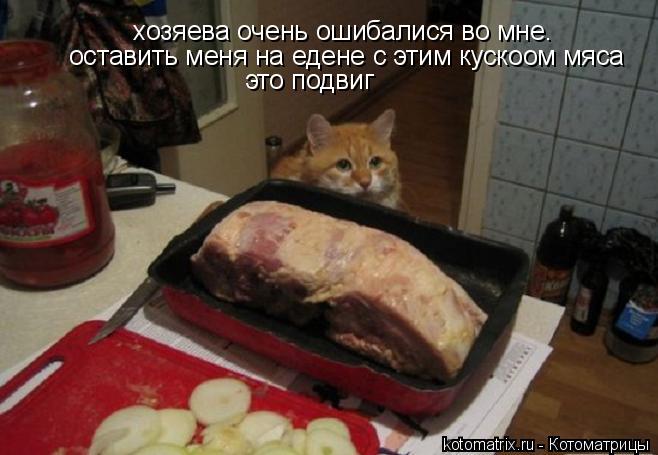 Котоматрица: хозяева очень ошибалися во мне. оставить меня на едене с этим кускоом мяса это подвиг