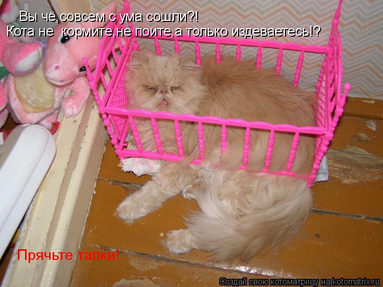 Котоматрица: Вы чё,совсем с ума сошли?! Кота не  кормите,не поите,а только издеваетесь!? Прячьте тапки!