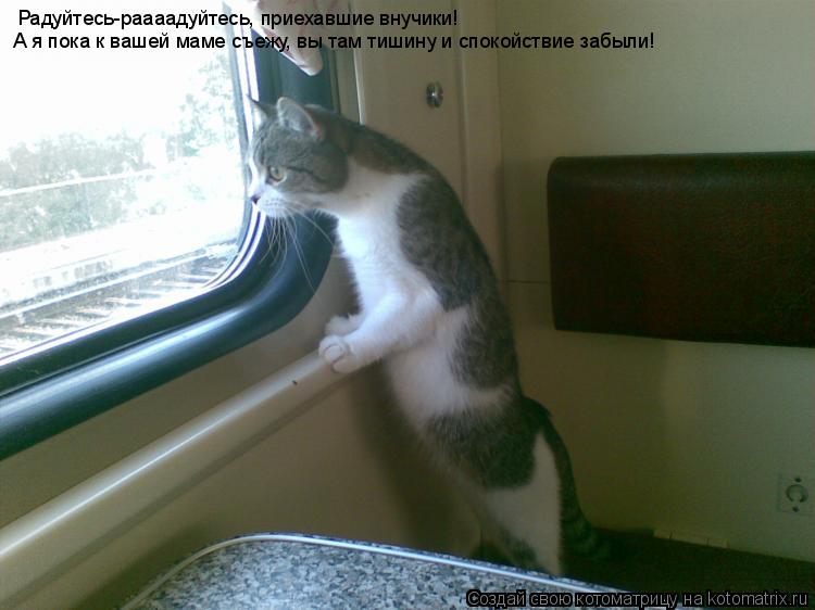 Котоматрица: Радуйтесь-раааадуйтесь, приехавшие внучики!  А я пока к вашей маме съежу, вы там тишину и спокойствие забыли!