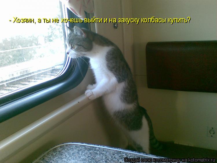 - Хозяин, а ты не хочешь выйти и на закуску колбасы купить?... Котоматрица: - Хозяин, а ты не хочешь выйти и на закуску колбасы купить?