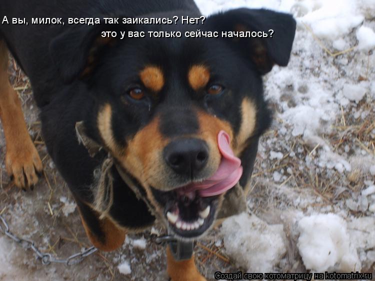 А вы, милок, всегда так заикались? Нет? это у вас только сейчас началось?... Котоматрица: А вы, милок, всегда так заикались? Нет? это у вас только сейчас началось?