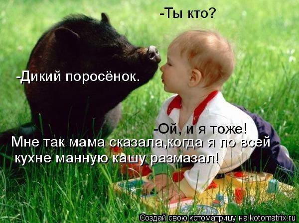 -Ты кто? -Дикий поросёнок. Мне так мама сказала,когда я по всей кухне манную кашу размазал! -Ой, и я ... Котоматрица: -Ты кто? -Дикий поросёнок. Мне так мама сказала,когда я по всей кухне манную кашу размазал! -Ой, и я тоже!