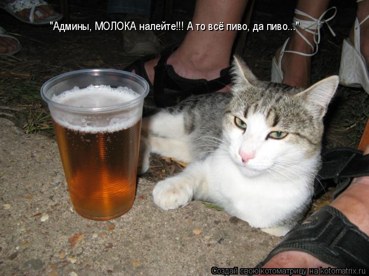 "Админы, МОЛОКА налейте!!! А то всё пиво, да пиво..."... Котоматрица: "Админы, МОЛОКА налейте!!! А то всё пиво, да пиво..."