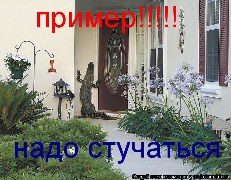 пример!!!!! надо стучаться... Котоматрица: пример!!!!! надо стучаться