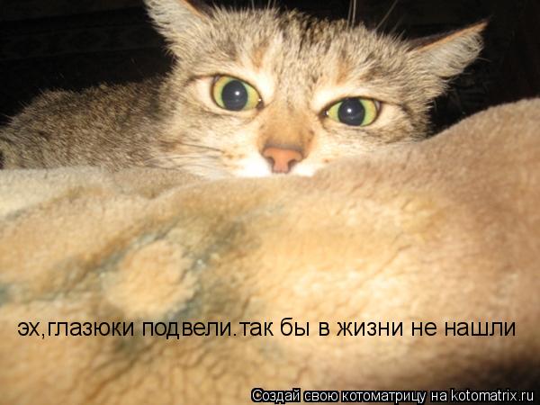 эх,глазюки подвели.так бы в жизни не нашли... Котоматрица: эх,глазюки подвели.так бы в жизни не нашли