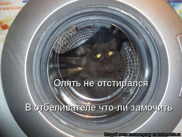 Опять не отстирался В отбеливателе что-ли замочить... Котоматрица: Опять не отстирался В отбеливателе что-ли замочить