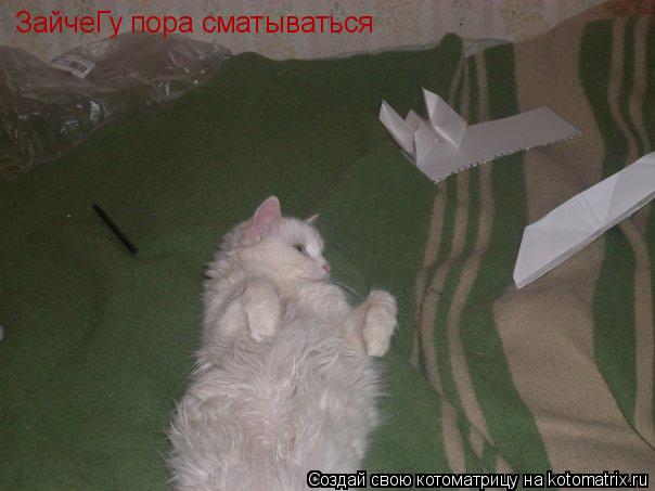 ЗайчеГу пора сматываться... Котоматрица: ЗайчеГу пора сматываться