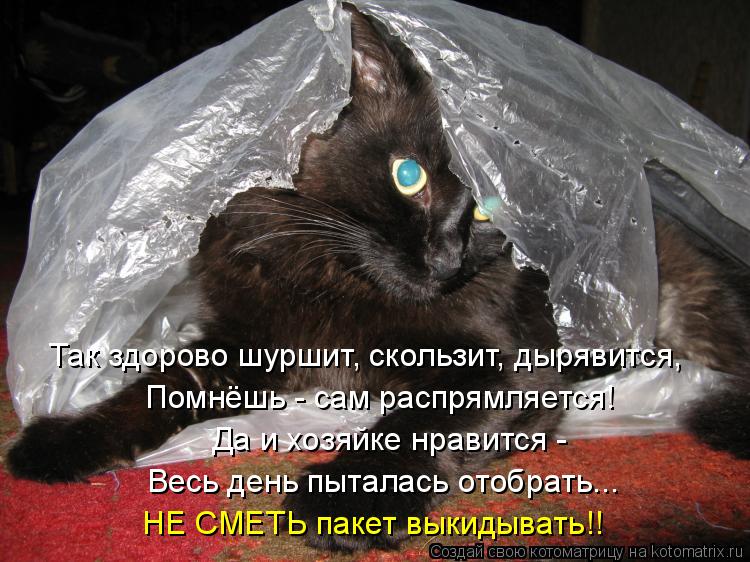 Так здорово шуршит, скользит, дырявится, Помнёшь - сам распрямляется! Да и хозяйке нравится - Весь д... Котоматрица: Так здорово шуршит, скользит, дырявится, Помнёшь - сам распрямляется! Да и хозяйке нравится - Весь день пыталась отобрать... НЕ СМЕТЬ пакет вы