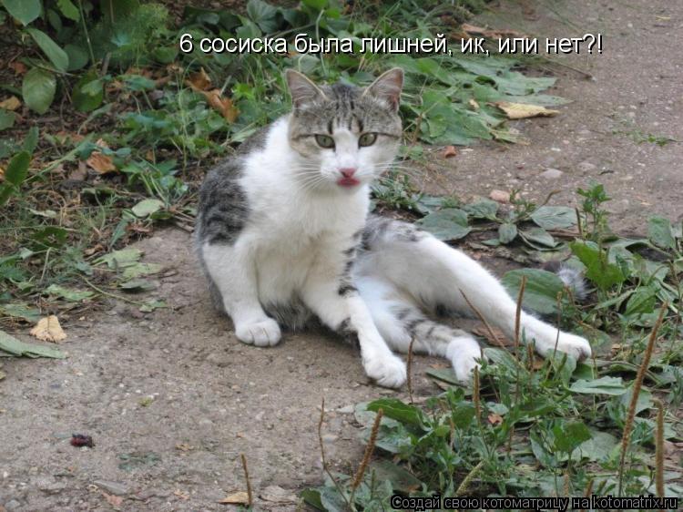 6 сосиска была лишней, ик, или нет?!... Котоматрица: 6 сосиска была лишней, ик, или нет?!