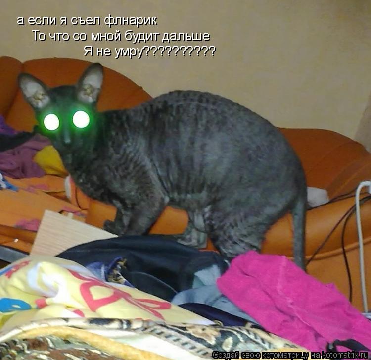 а если я съел флнарик То что со мной будит дальше Я не умру??????????... Котоматрица: а если я съел флнарик То что со мной будит дальше Я не умру??????????