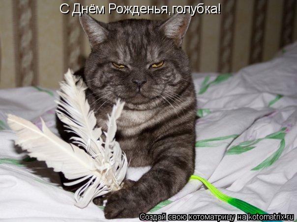С Днём Рожденья,голубка!... Котоматрица: С Днём Рожденья,голубка!