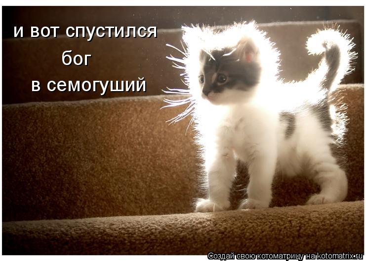 и вот спустился бог в семогуший... Котоматрица: и вот спустился бог в семогуший