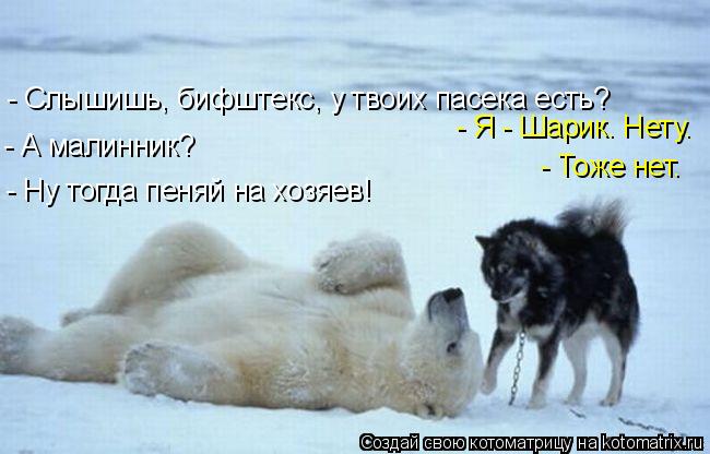 - Слышишь, бифштекс, у твоих пасека есть? - Я - Шарик. Нету. - А малинник? - Тоже нет. - Ну тогда пен... Котоматрица: - Слышишь, бифштекс, у твоих пасека есть? - Я - Шарик. Нету. - А малинник? - Тоже нет. - Ну тогда пеняй на хозяев!