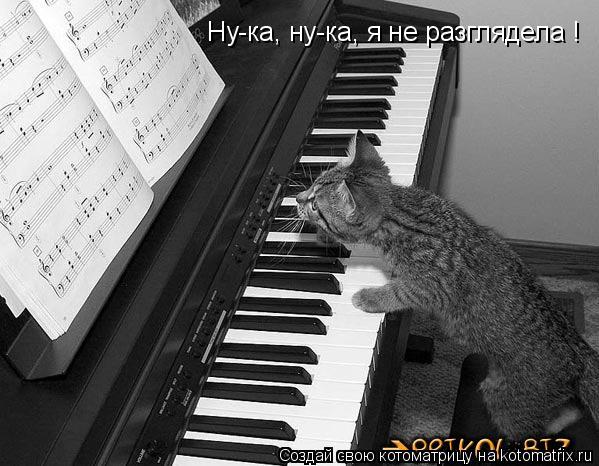 Ну-ка, ну-ка, я не разглядела !... Котоматрица: Ну-ка, ну-ка, я не разглядела !